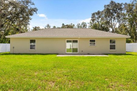 New construction Single-Family house 12 Fisher Trace Pl, Ocklawaha, FL 32179 - image
