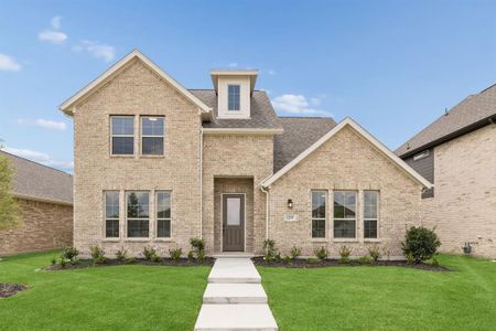 New construction Single-Family house 2259 Railhead Trl, Waxahachie, TX 75165 plan Sparrow - image