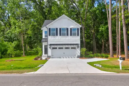 Morgan Hills by True Homes in Albemarle - photo 9 9