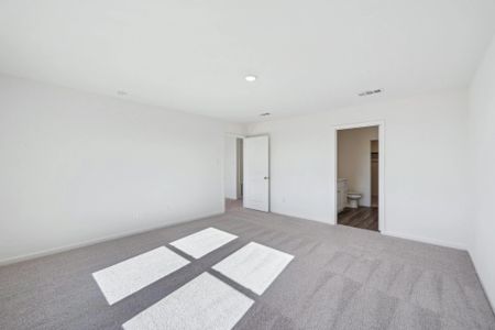 New construction Single-Family house 13112 Bending Creek Trl, Parrish, FL 34219 plan Magellan - image 19