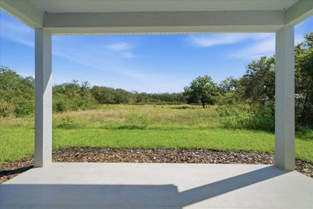 New construction Single-Family house 3174 N Sedgewick Rd, Avon Park, FL 33825 - image