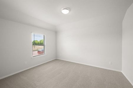 New construction Single-Family house 2817 Hay Ln, Midlothian, TX 76065 plan Salinas - image 18