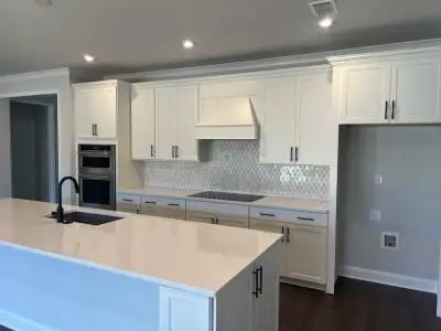 New construction Single-Family house 1081 Lake Terrace Bnd, Greensboro, GA 30642 plan Stardom - image