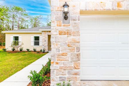 New construction Single-Family house 11046 Golden Warbler Road, Brooksville, FL 34613 - photo 1 1