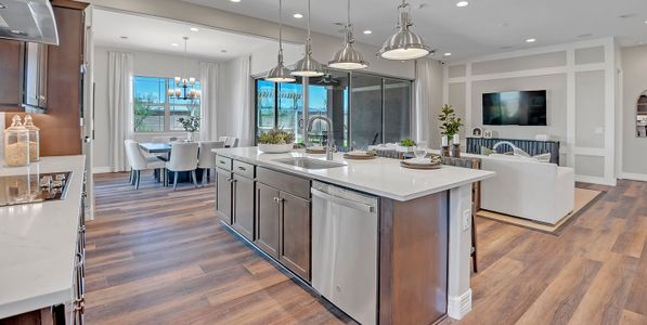 New construction Single-Family house 788 W Pelican Dr, Queen Creek, AZ 85140 plan Goldfinch - image 12