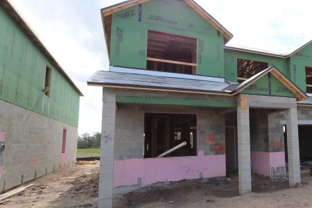 New construction Single-Family house 3324 Fall Harvest Dr, Zephyrhills, FL 33540 Salinas- photo 19 19