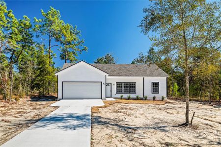 New construction Single-Family house Keystone Heights, FL 32656 - image