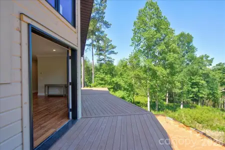 New construction Single-Family house 2199 Castle Peak Mtn, Connelly Springs, NC 28612 - image