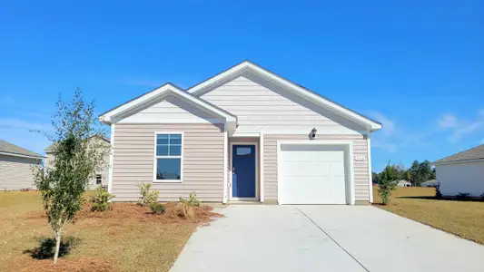 New construction Single-Family house 560 Strawberry Field Wy, Galivants Ferry, SC 29544 plan CAMERON - image