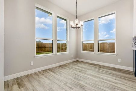 New construction Single-Family house 4010 Pleasant Dr, Prosper, TX 75078 - image 17