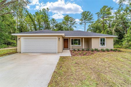 New construction Single-Family house 14579 Sw 79Th Terrace Rd, Ocala, FL 34473 Lynnette- photo 0