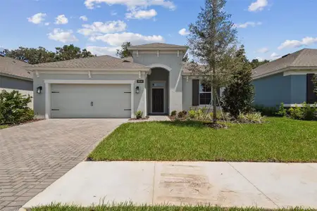 New construction Single-Family house 19649 Fort King Run, Brooksville, FL 34601 plan Elmwood - image