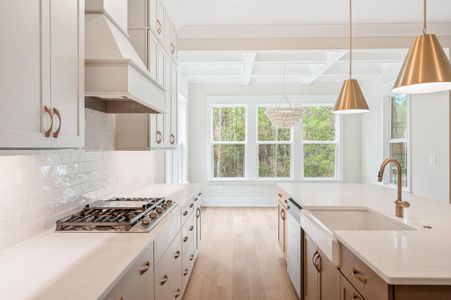 New construction Single-Family house 2508 Annie Aiden Ln, Charleston, SC 29414 plan Davis - image 14