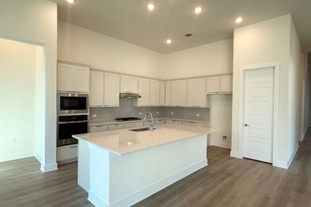 New construction Single-Family house 17313 Silverman Dr, Pflugerville, TX 78660 plan Johnson - image 5