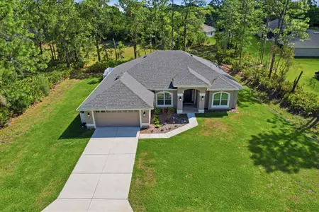 New construction Single-Family house 3 Stokesia Ct, Homosassa, FL 34446 - image