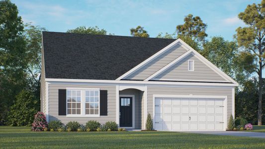 New construction Single-Family house 15 Baker Farm Drive, Youngsville, NC 27596 - photo 0