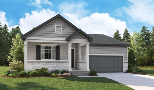 New construction Single-Family house 904 Steppe Lane, Windsor, CO 80550 Alexandrite- photo 0