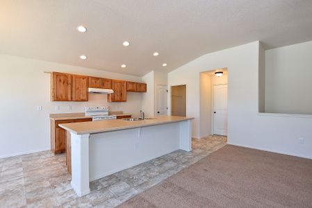 New construction Single-Family house 437 Vivid Ln, Windsor, CO 80550 null- photo 13 13