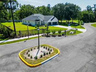 New construction Single-Family house 18460 Purple Creek Ln, Lutz, FL 33549 plan Briarwood - image 18