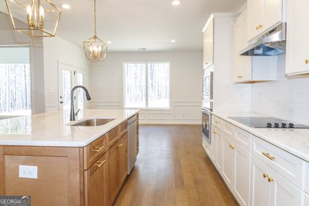 New construction Single-Family house 51 Root Dr, Newnan, GA 30263 Davis A- photo 8 8