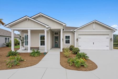 New construction Single-Family house 159 Whitewater Dr, Hardeeville, SC 29927 plan Carver - image