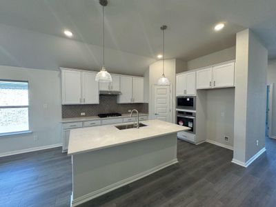 New construction Single-Family house 13812 Jon Ryan Rd, Manor, TX 78653 Premier Series - Oleander- photo 10 10