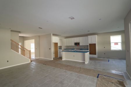 New construction Single-Family house 12008 Hilltop Farms Dr, Dade City, FL 33525 Alenza- photo 103 103