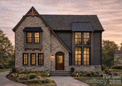 New construction Single-Family house 3759 Old Village Dr, Maiden, NC 28650 - image
