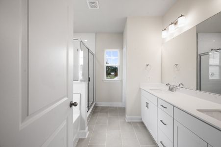 New construction Single-Family house 8627 Connor Ct, North Charleston, SC 29406 plan Ellis - image 5