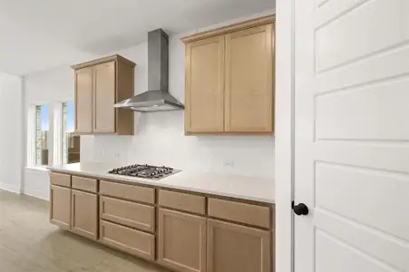 New construction Single-Family house 17141 Oxborough Dr, Fort Worth, TX 76247 - image 6