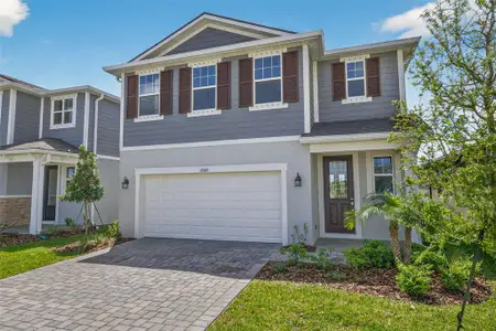 New construction Single-Family house 13109 Oxeye Ln, Parrish, FL 34219 plan Hammock - image