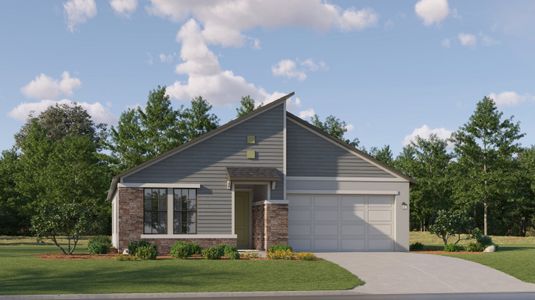 New construction Single-Family house 18441 Serene Lake Lp, Lutz, FL 33548 Augusta- photo 0