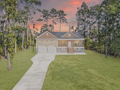 New construction Single-Family house 617 Newberry Dr, Chapin, SC 29036 - image