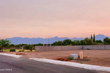 New construction Single-Family house 5033 W Stray Horse Ln, Laveen, AZ 85339 - image 19