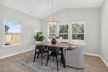 New construction Single-Family house 96 Eagle Rock Dr, Lillington, NC 27546 - image 13