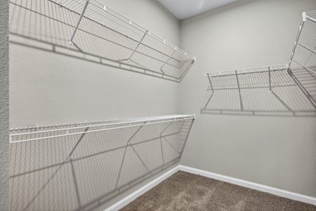 New construction Single-Family house 13129 Oxeye Ln, Parrish, FL 34219 plan Brookstone - image 11