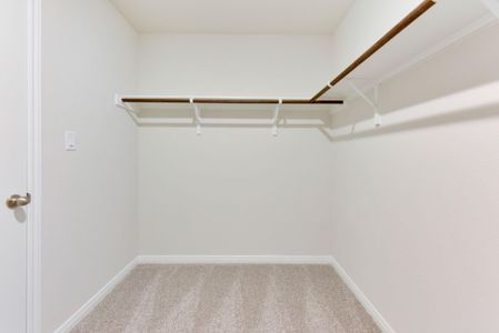 New construction Single-Family house 116 Greenway Ln, Georgetown, TX 78628 Cascade- photo 33 33