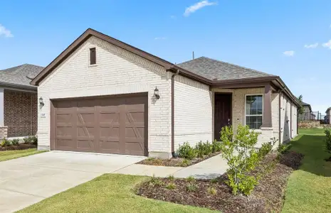 New construction Single-Family house 1245 Bogart Wy, Celina, TX 75009 plan Contour - image 15
