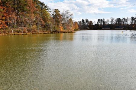 New construction Single-Family house 2364 Britt St, Grayson, GA 30017 null- photo 9 9