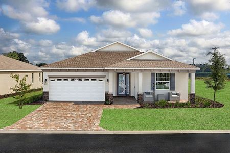 New construction Single-Family house 8447 Southwest 99th Street Road, Ocala, FL 34481 - photo 0