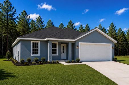 New construction Single-Family house 16440 Medley Rd, Weeki Wachee, FL 34614 - image