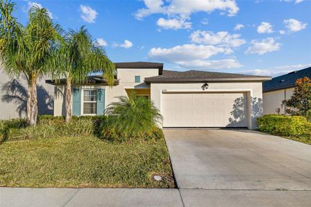 New construction Single-Family house 6774 Shelby Lynn Way, Zephyrhills, FL 33542 - photo 0