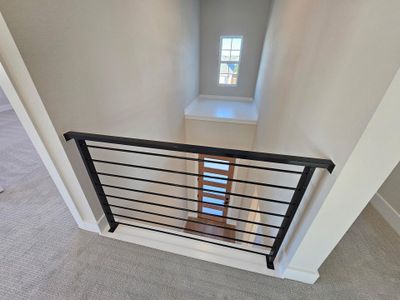 New construction Single-Family house 19504 Judys Vw, Pflugerville, TX 78660 - image 9