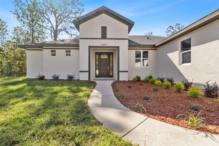 New construction Single-Family house 13040 Tinamou Ave, Weeki Wachee, FL 34614 - image