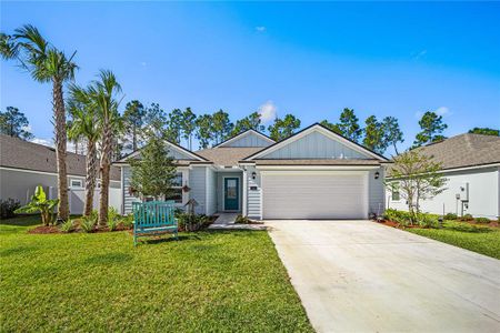 New construction Single-Family house 14 Lumber Jack Trl, Palm Coast, FL 32137 - image