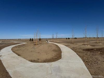 New construction Single-Family house 42998 Colonial Trl, Elizabeth, CO 80107 null- photo 9 9