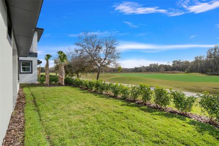 New construction Single-Family house 3016 Kensington Ave, Davenport, FL 33837 Courtyard 3 Bedroom- photo 47 47