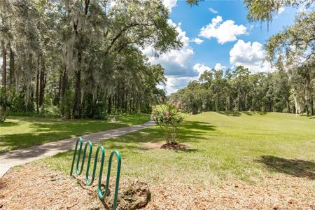 New construction Single-Family house 19610 Sw 93Rd Pl, Dunnellon, FL 34432 null- photo 61 61