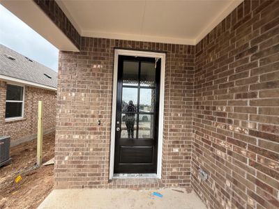 New construction Single-Family house 128 Lions Tail Cv, San Marcos, TX 78666 - image