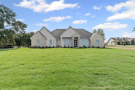 New construction Single-Family house 1132 Dobbs Trl, Springtown, TX 76082 - image
